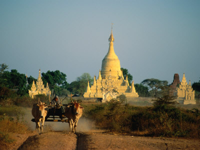 Cow-Drawn Cart In Front Of Stupas, Bagan, Mandalay, Myanmar (Burma) by Bernard Napthine Pricing Limited Edition Print image