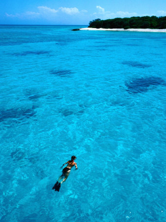 Snorkelling Around Musgrove Island On The Great Barrier Reef, Queensland, Australia by Lee Foster Pricing Limited Edition Print image