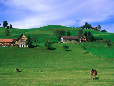 Cows In Pasture And Farm Houses, Appenzel Innerhoden, Switzerland by Martin Moos Pricing Limited Edition Print image