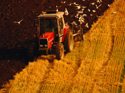 Tractor Driving On Field, York, East Riding Of Yorkshire, England by Jon Davison Pricing Limited Edition Print image