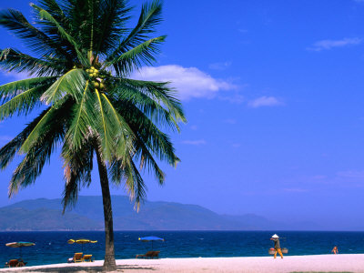 Beach Vendor Walking Along Sand With Palm Tree In Foreground, Nha Trang, Vietnam by John Banagan Pricing Limited Edition Print image