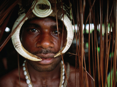 Man From Kamindimbit Village On The Sepik River Wears His Traditional Bones, Papua New Guinea by Jerry Galea Pricing Limited Edition Print image