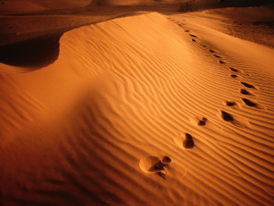 Footprints In Rippled Red Sand Of Perry Sand Dunes, Near Mildura, New South Wales, Australia by Dallas Stribley Pricing Limited Edition Print image