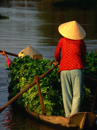 Women Rowing Boat Piled With Vegetables Along Mekong Delta, Vietnam by John Banagan Pricing Limited Edition Print image