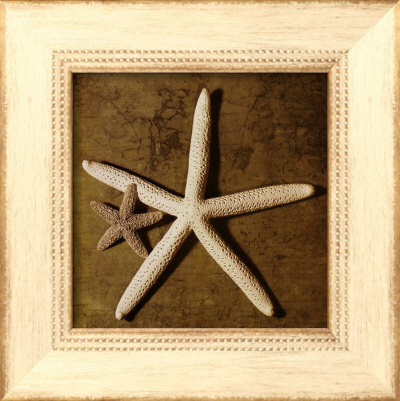 Starfish by Caroline Kelly Pricing Limited Edition Print image