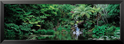 Ayrlies, Auckland, New Zealand by Alain Le Toquin Pricing Limited Edition Print image