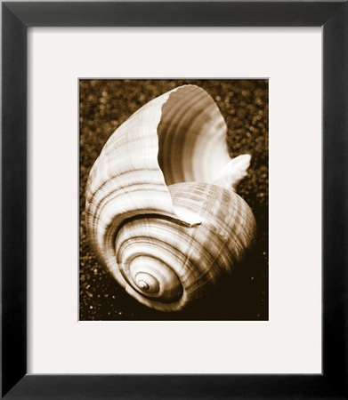 Sea Gallery Iv by Boyce Watt Pricing Limited Edition Print image