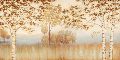 Birches In The Mist by Neil Thomas Pricing Limited Edition Print image