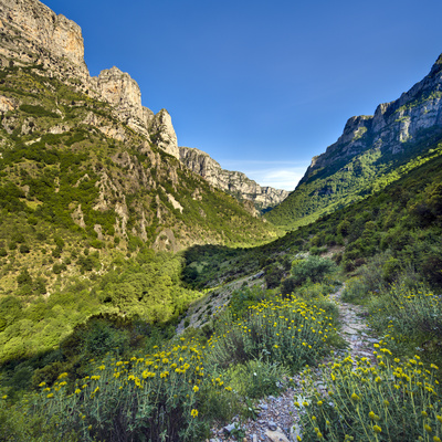 Looking Back Along The Vikos Gorge Footpath In Springtime, Underneath The Village Of Vikos, With Th by Lizzie Shepherd Pricing Limited Edition Print image