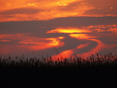 Twilight Sky Over The African Grassland by Beverly Joubert Pricing Limited Edition Print image