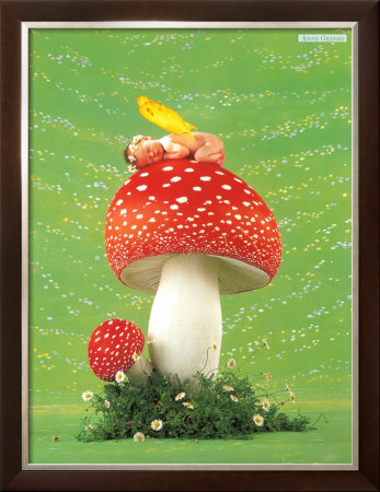 Erin As Toadstool by Anne Geddes Pricing Limited Edition Print image
