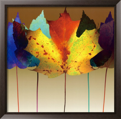 Leaf Dance by Robert Mertens Pricing Limited Edition Print image