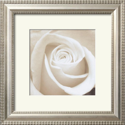 Rose by Angelos Zimaras Pricing Limited Edition Print image