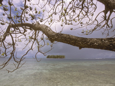 Island Near Raiatea by Alessandro Gandolfi Pricing Limited Edition Print image