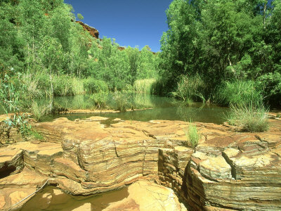 Dales Gorge In Karijini National Park, Western Australia by Michael Fogden Pricing Limited Edition Print image