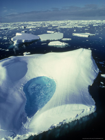 Ice Floe With Meltpool And Pancake Ice, Antarctica by Ben Osborne Pricing Limited Edition Print image