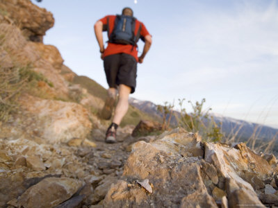 Man Trail Running On The Mount Olympus Trail, Wasatch Mountains, Usa by Mike Tittel Pricing Limited Edition Print image