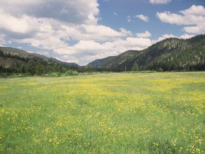 Landscape, Alaska by Steven Begleiter Pricing Limited Edition Print image