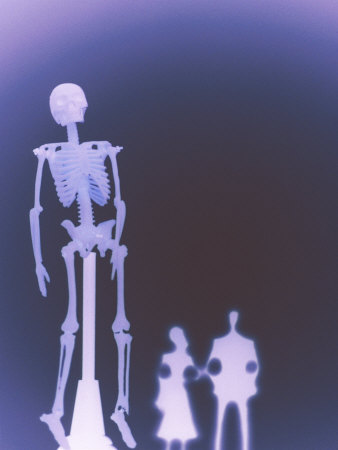 Skeleton On Display by Fogstock Llc Pricing Limited Edition Print image