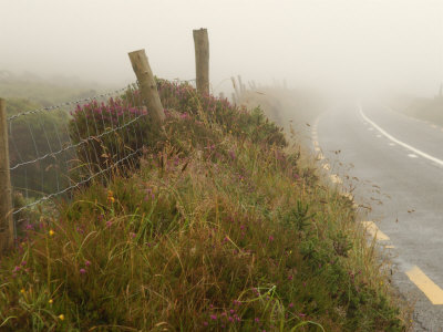 Ireland, Foggy Road In Counryside by Keith Levit Pricing Limited Edition Print image