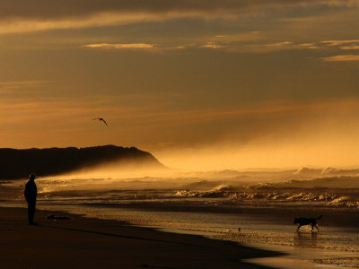 Seaspray, A Man And His Dog And Another Day Ends At 13Th Beach At Barwon Heads by Bernard Napthine Pricing Limited Edition Print image