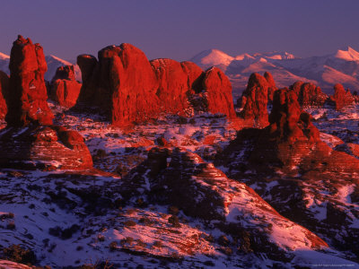 Lasal Mountains, Arches National Park, Ut by Bonnie Lange Pricing Limited Edition Print image