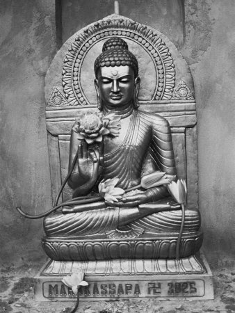 Bodh Gayh, India, Tibetan Buddhist Statue by Elisa Cicinelli Pricing Limited Edition Print image
