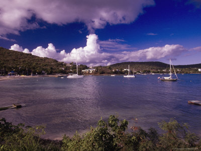 Pineapple Beach At Coki Point, St. Thomas by Walter Bibikow Pricing Limited Edition Print image