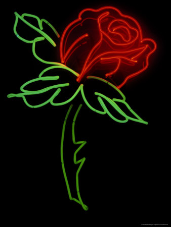 Neon Rose by Fogstock Llc Pricing Limited Edition Print image
