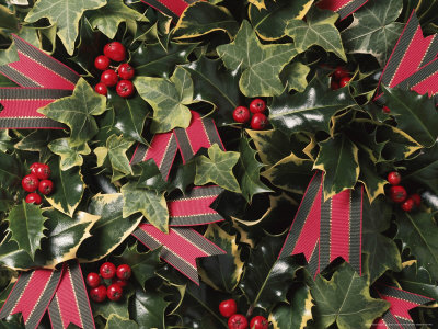 Holly, Ivy & Tartan Ribbon by Erika Craddock Pricing Limited Edition Print image