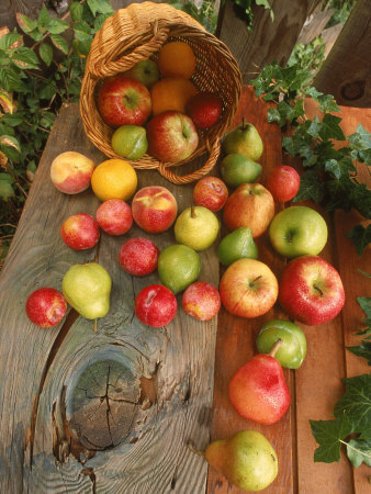 Fruit Spilling From A Wicker Cornucopia by Richard Stacks Pricing Limited Edition Print image