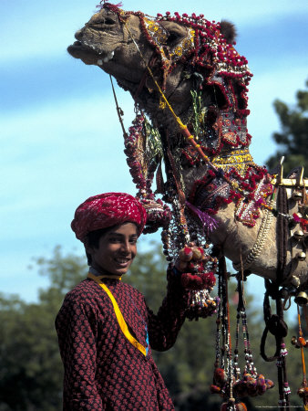 Indian Boy With Decorated Camel, Jaipur, India by Dave Bartruff Pricing Limited Edition Print image