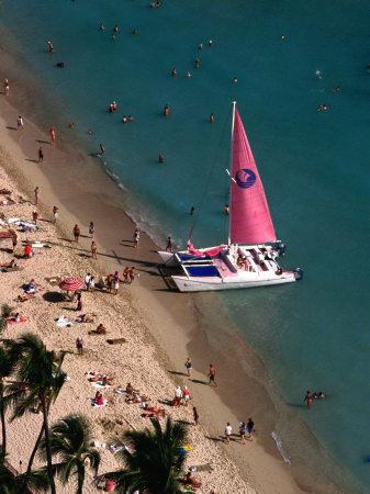 Catamaran Boat On Beach, Usa by Lee Foster Pricing Limited Edition Print image