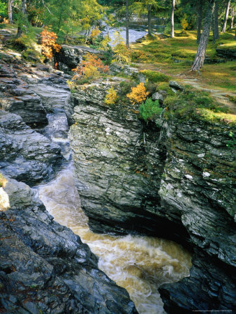 Linn Of Dee, Inverey, United Kingdom by Cornwallis Graeme Pricing Limited Edition Print image