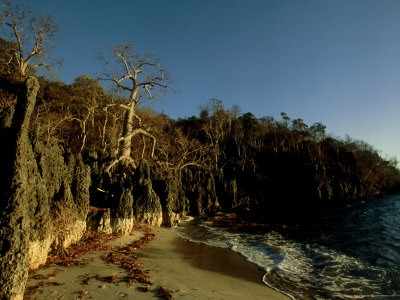 Anjajavy Coast, Madagascar by Patricio Robles Gil Pricing Limited Edition Print image