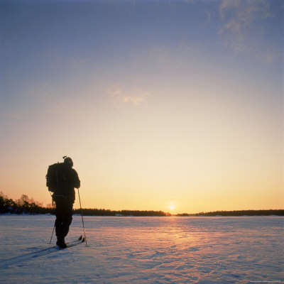 Person Cross-Country Skiing by Stefan Hallberg Pricing Limited Edition Print image