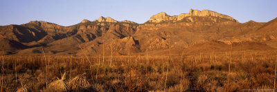 Chihuahua Desert, Mexico by Patricio Robles Gil Pricing Limited Edition Print image