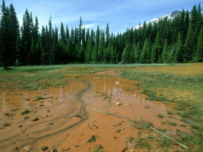 Paint Pots Ochre Beds, British Colombia, Canada by Richard Packwood Pricing Limited Edition Print image