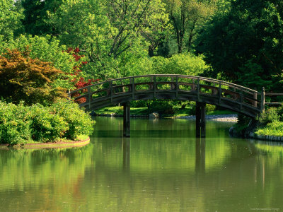 Bridge Over Lake In Japanese Garden At Missouri Botanical Garden by Eddie Brady Pricing Limited Edition Print image
