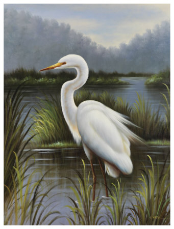 Morning Egret by Kilian Pricing Limited Edition Print image