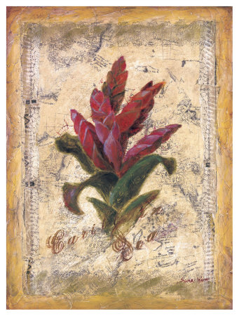 Bromelia by Shari White Pricing Limited Edition Print image