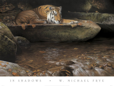 In Shadows by W. Michael Frye Pricing Limited Edition Print image