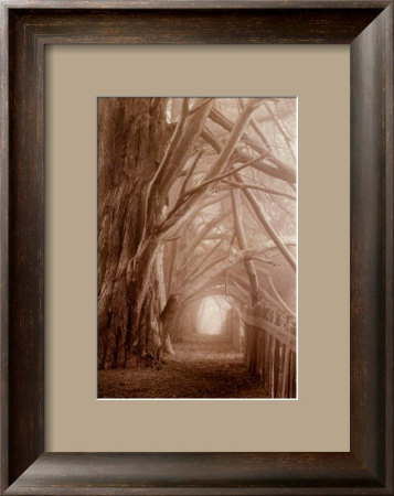 Enchanted Path by Paul Kozal Pricing Limited Edition Print image