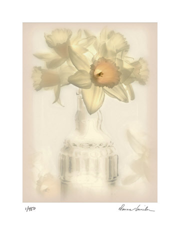Lovely Daffodil by Donna Geissler Pricing Limited Edition Print image