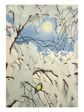 Great Tit, 1909 (W/C On Paper) by Theodor Severin Kittelsen Pricing Limited Edition Print image