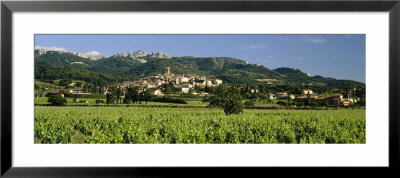 Vines In A Vineyard, Cotes Du Rhone, Sablet, Vaucluse, Provence, France by Panoramic Images Pricing Limited Edition Print image