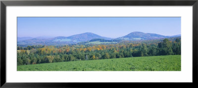 Trees With A Mountain Range In The Background, Northeast Kingdom, Vermont, Usa by Panoramic Images Pricing Limited Edition Print image