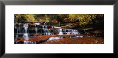Waterfall In A Forest, North Creek, Zion National Park, Utah, Usa by Panoramic Images Pricing Limited Edition Print image