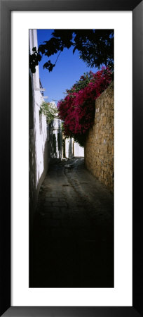 Ivy On A Stonewall In An Alley, Lindos, Rhodes, Greece by Panoramic Images Pricing Limited Edition Print image