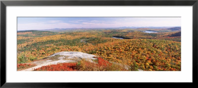 Trees On A Mountain, Bangor Area, Peaked Mountain, Clifton, Maine, Usa by Panoramic Images Pricing Limited Edition Print image